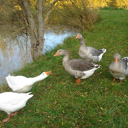 Domaine De Varenne Bed & Breakfast Saint-Amand-en-Puisaye Exterior foto