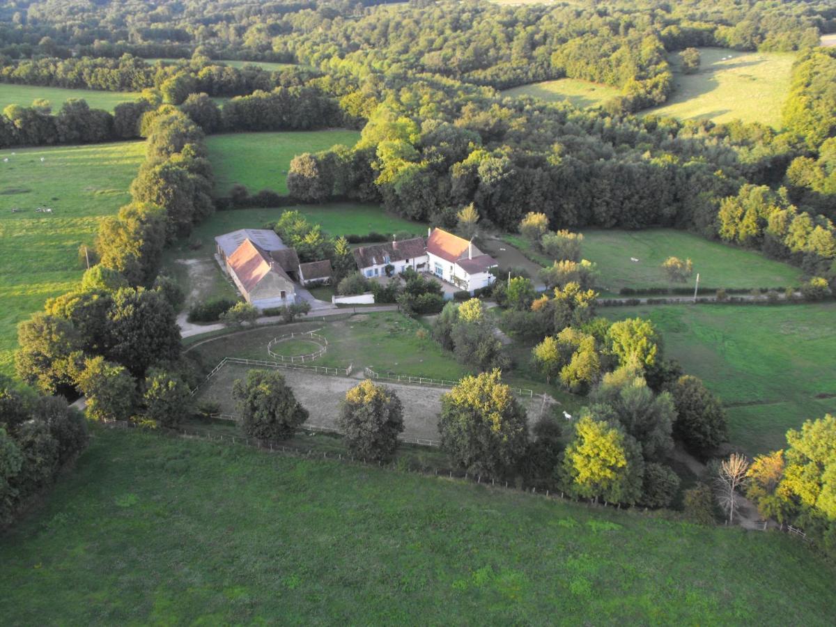 Domaine De Varenne Bed & Breakfast Saint-Amand-en-Puisaye Exterior foto