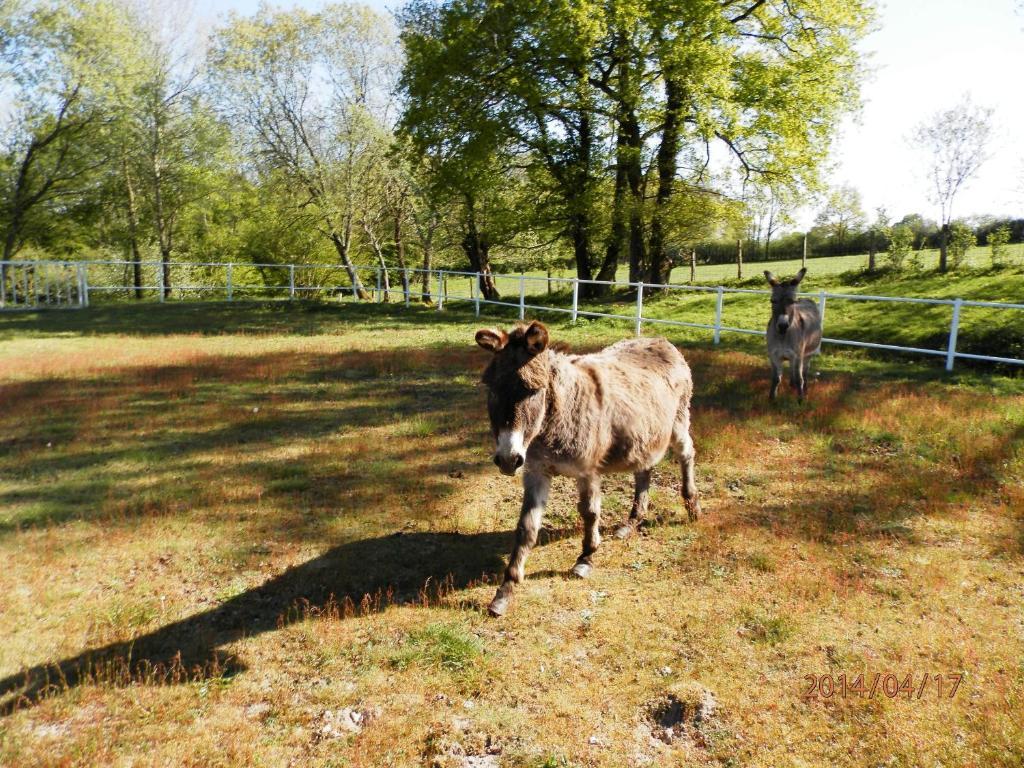 Domaine De Varenne Bed & Breakfast Saint-Amand-en-Puisaye Exterior foto